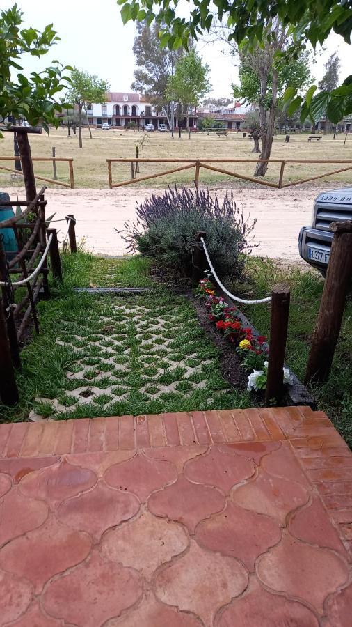 Jardines Del Acebron Guest House El Rocio Ngoại thất bức ảnh